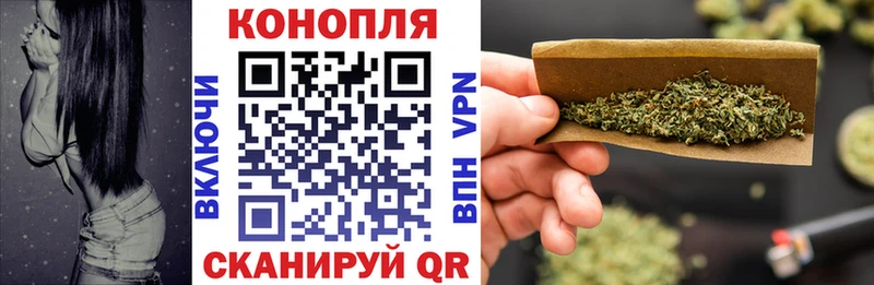 МАРИХУАНА план  блэк спрут tor  Елизово 